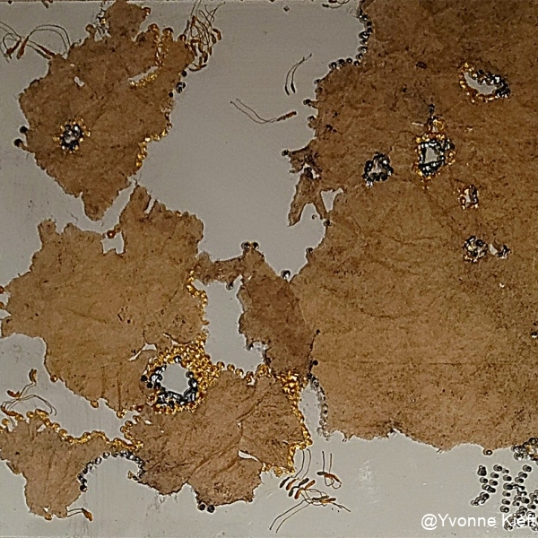 Flowers-by-Snales-20x20cm-mixed-media-on perspex-2020-Yvonne-Kieft