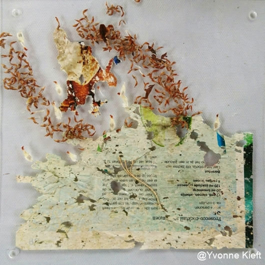 Dynamic Organics VIII, into the Garden II, 20x20_ Y. Kieft 2016