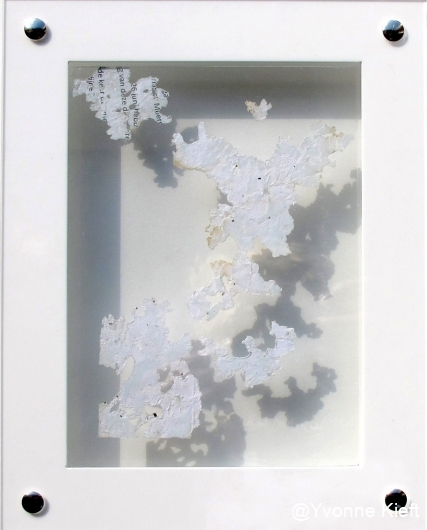 Dynamic organics I, 24x19x3.5cm Y. Kieft 2015