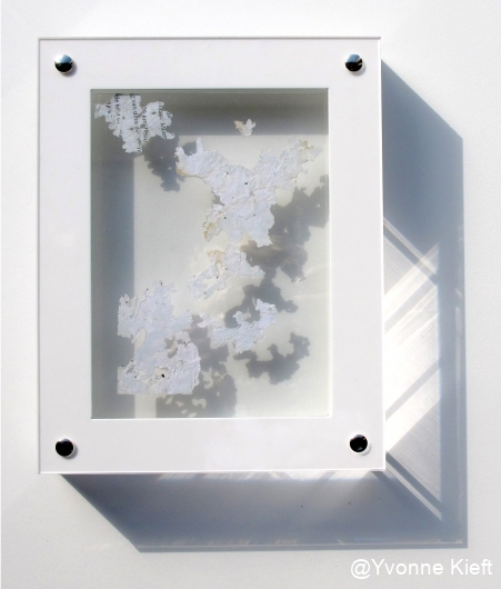 Dynamic organics I, 24x19x3.5cm schaduw _Y. Kieft 2015