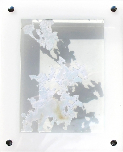 Dynamic organics II, 24x19x3.5 cm. _Y. Kieft 2015