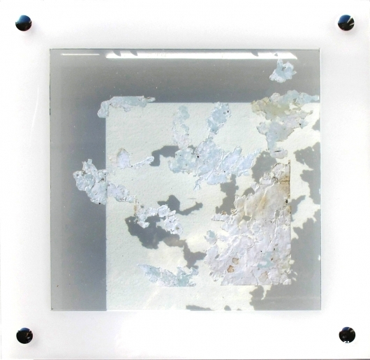 Dynamic organics III, 22x22x3.5cm _Y. Kieft 2015