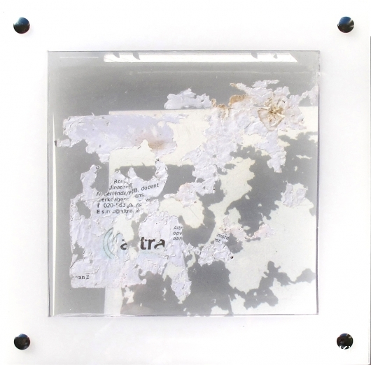 Dynamic organics IV, 22x22x3.5cm _Y. Kieft 2015