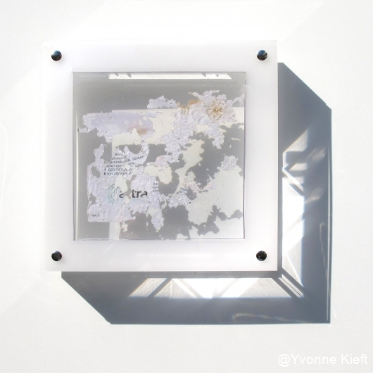 Dynamic organics IV, 22x22x3.5cm schaduw _Y. Kieft 2015