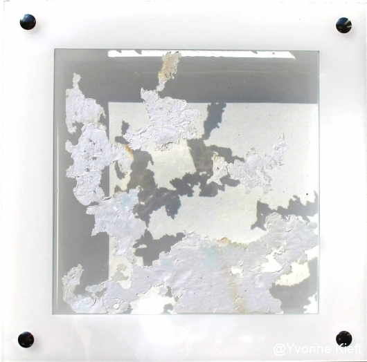 Dynamic organics V, 22x22x3.5cm_ Y. Kieft 2015