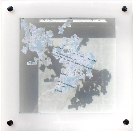 Dynamic organics VI, 22x22x3.5cm_ Y. Kieft 2015